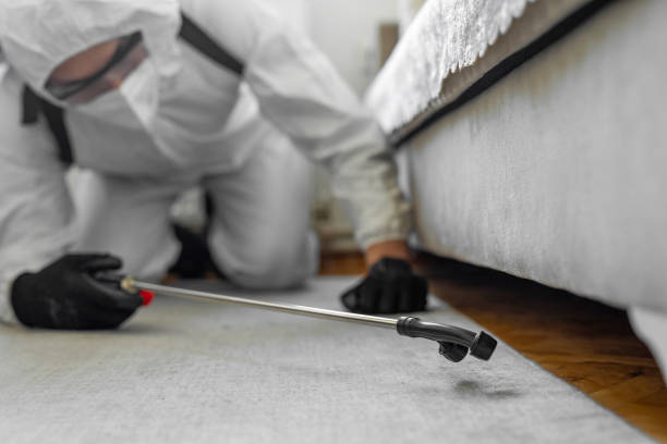Professional Emergency Pest Control technician working in Lincoln Park, NJ
