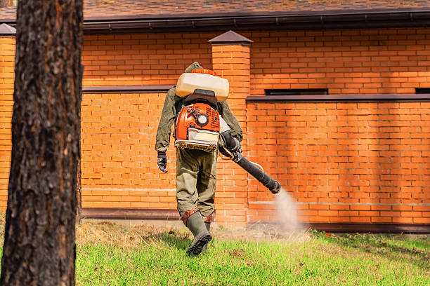 Trusted Cockroach Control service in Lincoln Park, NJ - Nex Pest Control